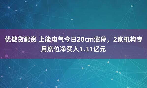 优微贷配资 上能电气今日20cm涨停，2家机构专用席位净买入1.31亿元